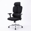 Director Chair|7024B