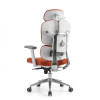 Director Chair|7024B