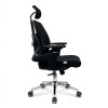 Director Chair|7025 
