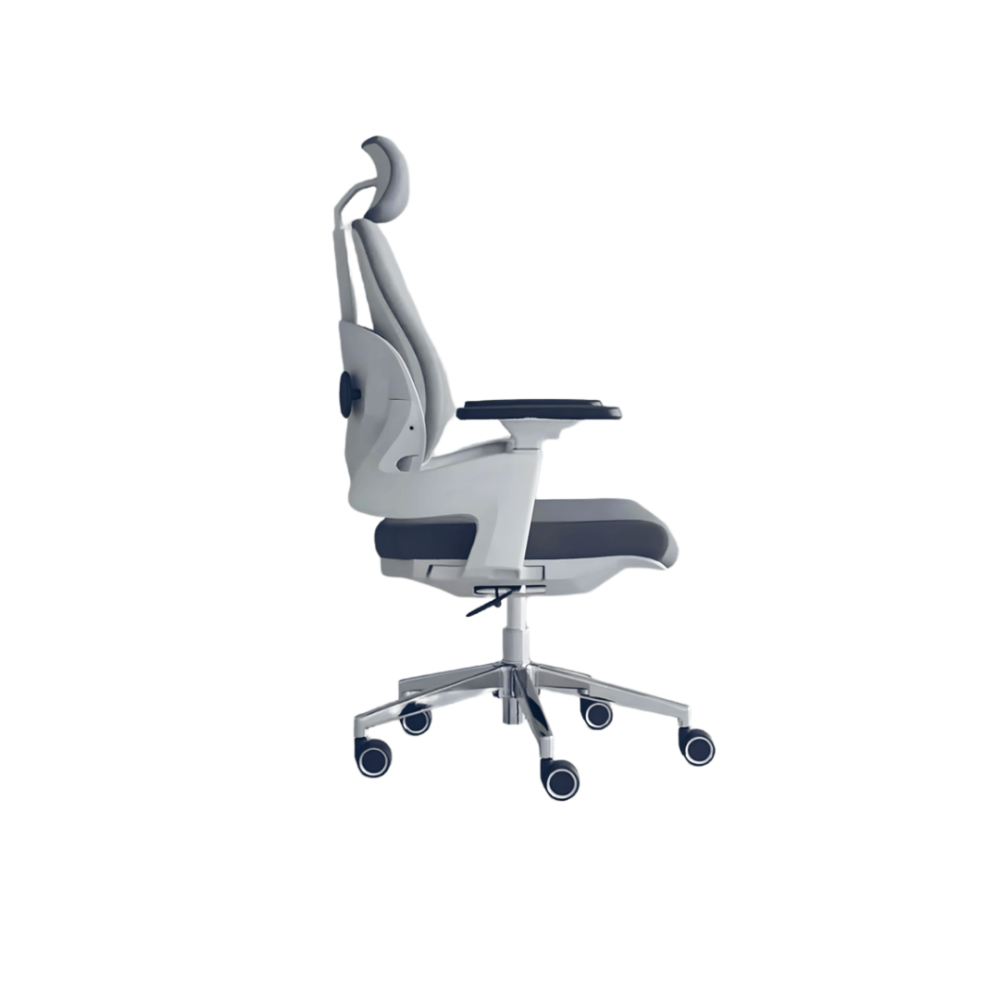 Director Chair|7025 