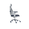 Director Chair|7025 