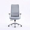 Ergonomic Chair|7025D