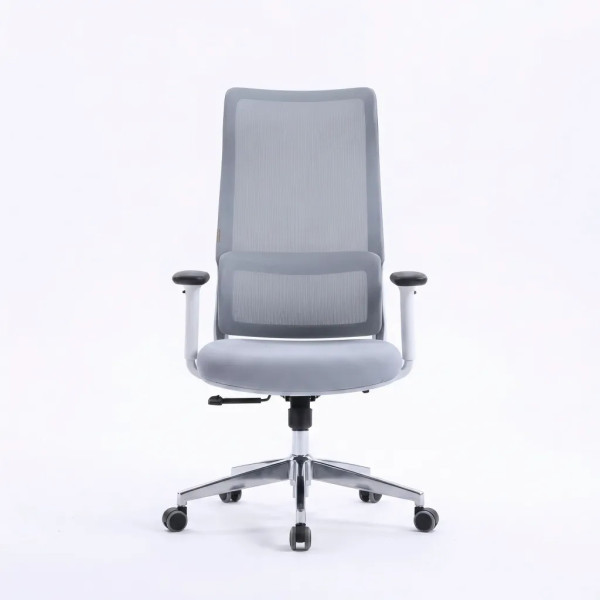 Ergonomic Chair|7025D