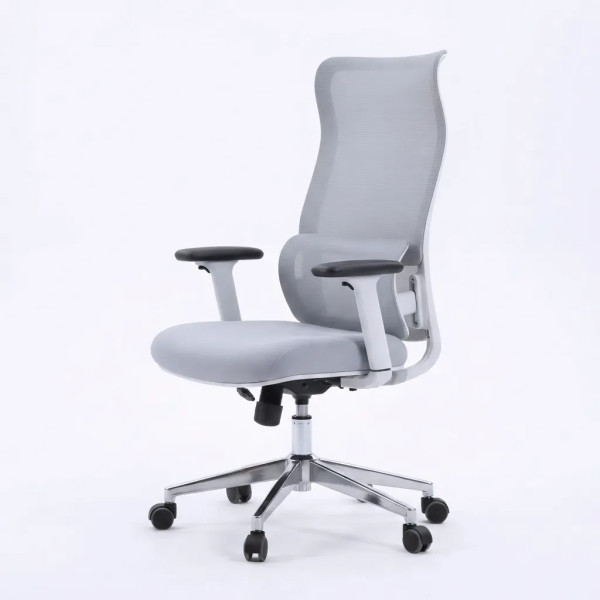 Ergonomic Chair|7025D