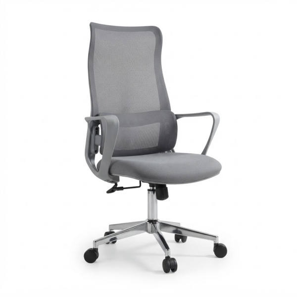 Ergonomic Chair|7025B