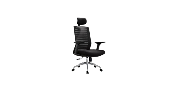 Director Chair