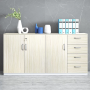 Low Height Cabinet