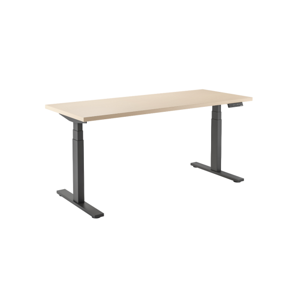 Elevating Desk Pro (Dual Motor-3 stage)