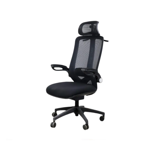 Ergon Spine Chair|7037