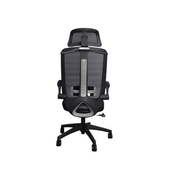 Ergon Spine Chair|7037