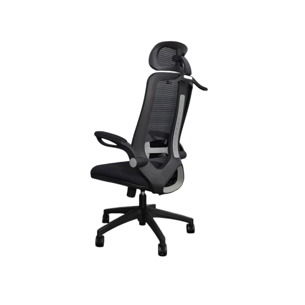 Ergon Spine Chair|7037