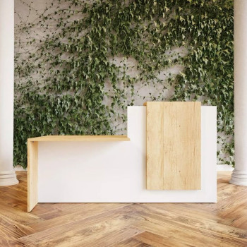 Reception Desk Reception Desk