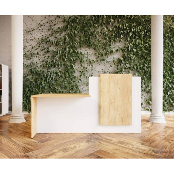 Reception Desk Reception Desk