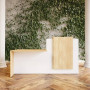 Reception Desk