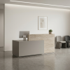 Reception Desk Reception Desk
