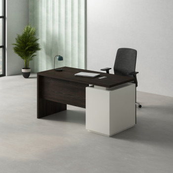 Executive Desk-4118 Executive Desk-4118